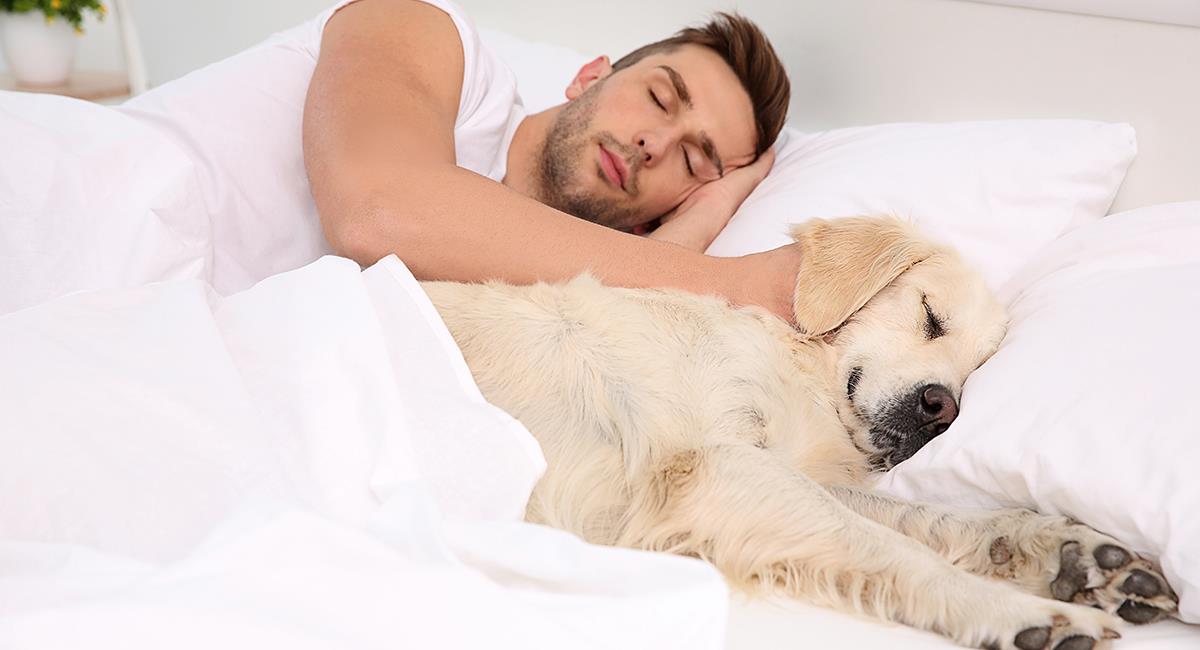 Hombre durmiendo con su mascota 